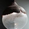 Lamp. Ceramics and glass