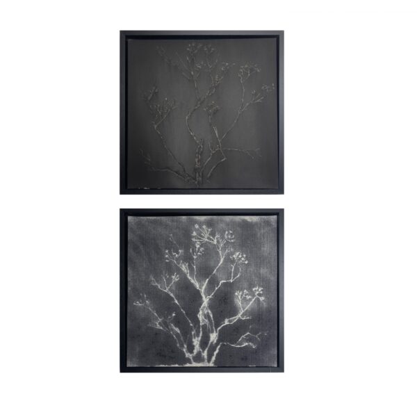 50-50 cm. black frame