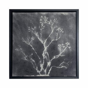 50-50 cm. black frame