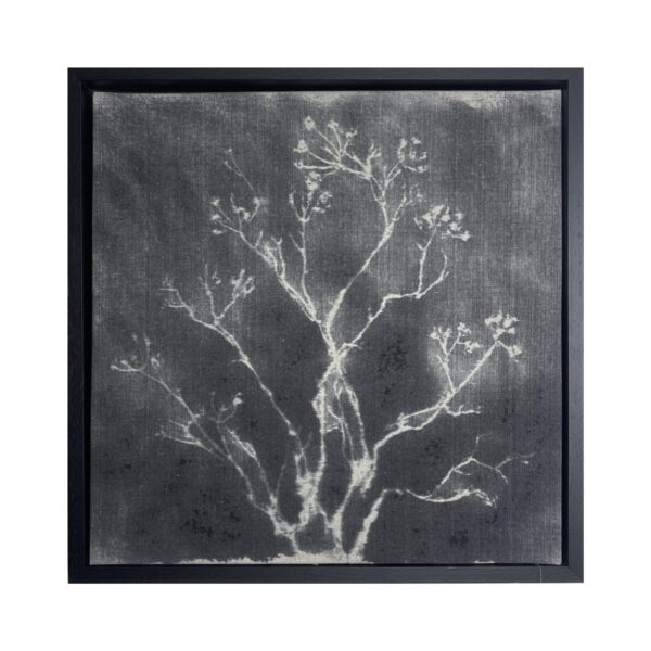 50-50 cm. black frame