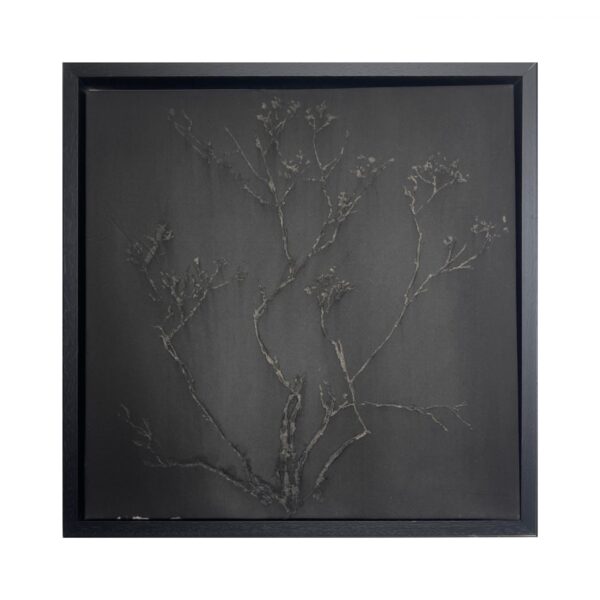 50-50 cm. black frame