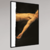 8.2 White Line #8 (collector edition)