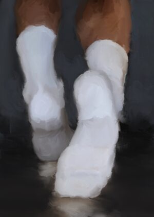 White Socks #6 (collector edition)