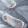 torn socks #2 (Oil painting)